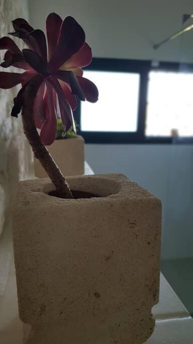 Podere Del Gelso Bianco, Vacation Rental Ostuni Eksteriør bilde